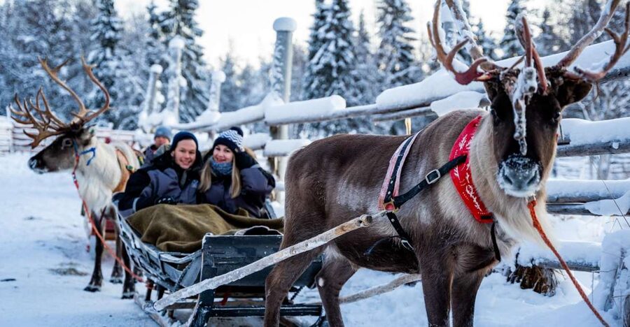 Rovaniemi: Local Reindeer Farm Visit with Sleigh Ride - Warming up in the kota hut