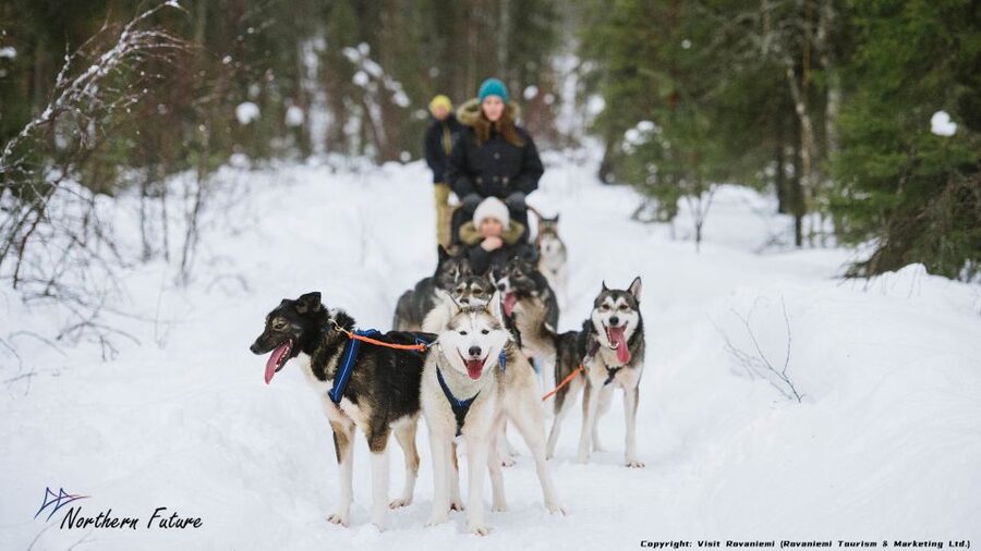 Rovaniemi: Meet Santa Claus, Reindeer Sleigh Ride & Huskies - What this five-hour Lapland tour actually delivers