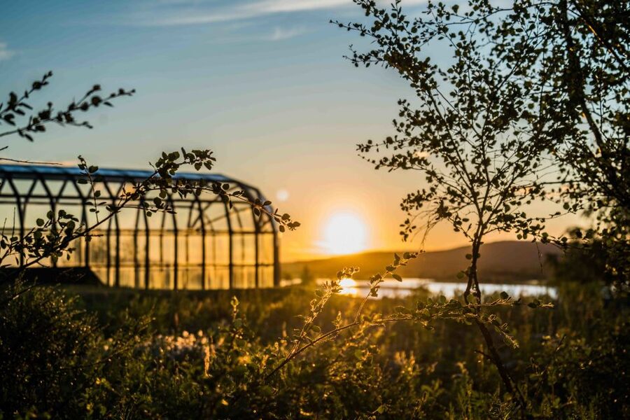 Rovaniemi: Midnight Sun Photography Tour - A practical look at the full 3.5 hours