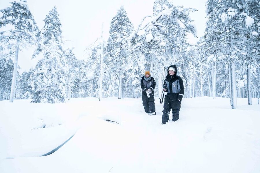 Rovaniemi: Nordic Forest Wilderness Adventure - Key points at a glance