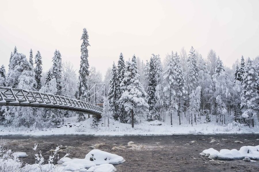 Rovaniemi: Nordic Forest Wilderness Adventure - Should you book the Vikaköngäs hike?