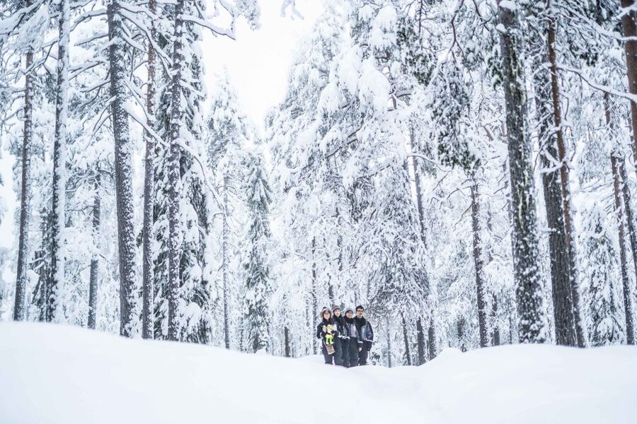Rovaniemi: Nordic Forest Wilderness Adventure - The viewing tower and the best photo stop