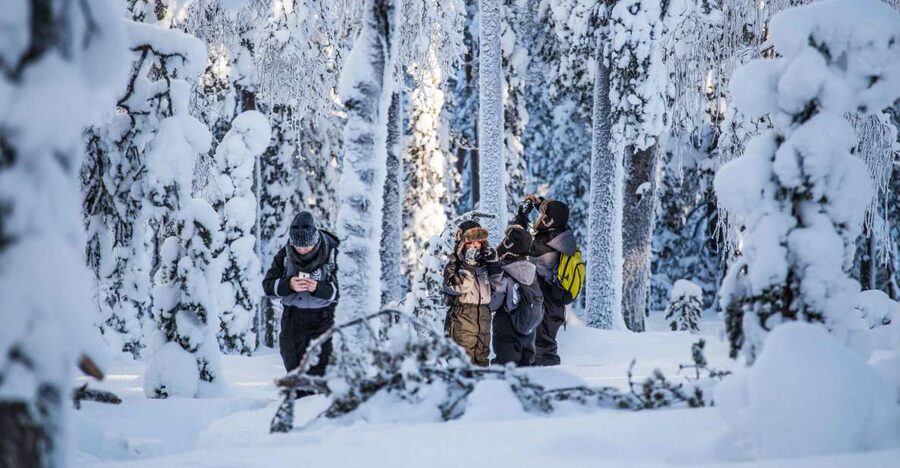 Rovaniemi: Nordic Forest Wilderness Adventure - Who should book this forest adventure