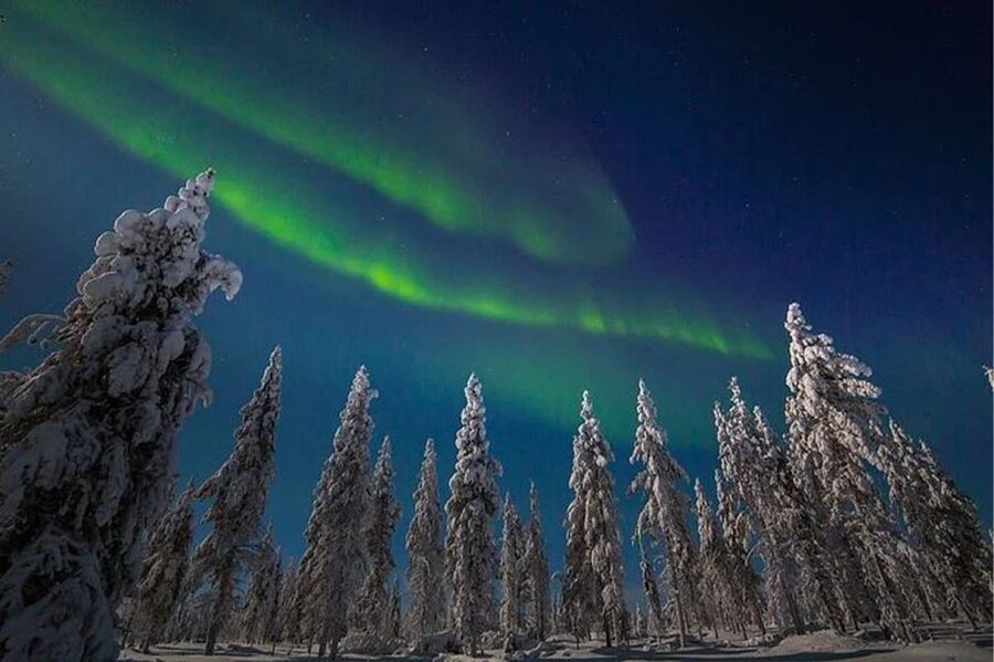 Rovaniemi: Northern Lights and Husky Sleigh Ride - Frozen lakes, dark forests, and the best viewing conditions