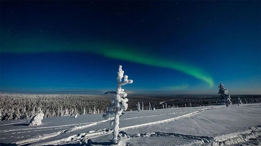 Rovaniemi: Northern Lights and Husky Sleigh Ride - Who will enjoy this most