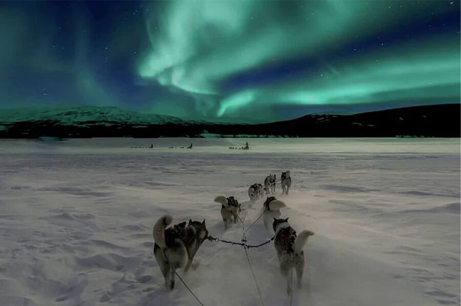 Rovaniemi: Northern Lights and Husky Sleigh Ride - Meeting the sled dogs at the farmhouse