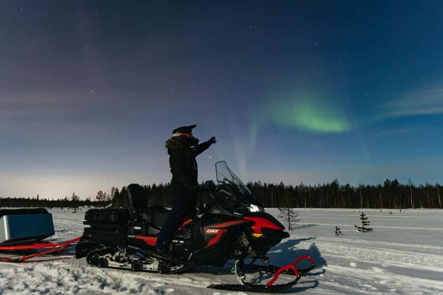 Rovaniemi: Northern Lights Family-Friendly Snowmobile Safari - Children in the sleigh, adults on the machines