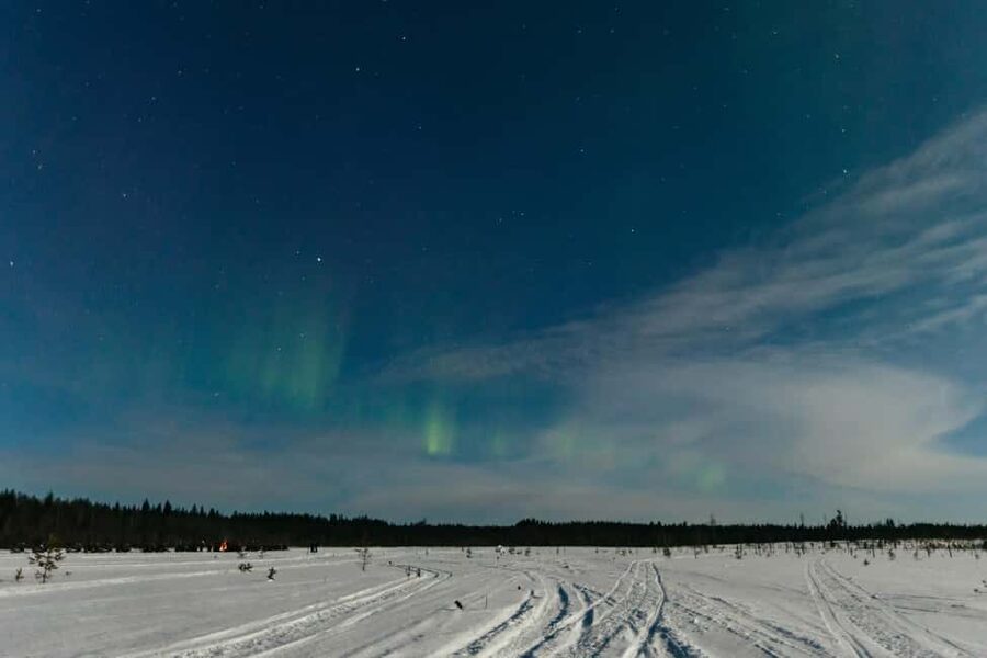Rovaniemi: Northern Lights Family-Friendly Snowmobile Safari - Who will enjoy this outing most?