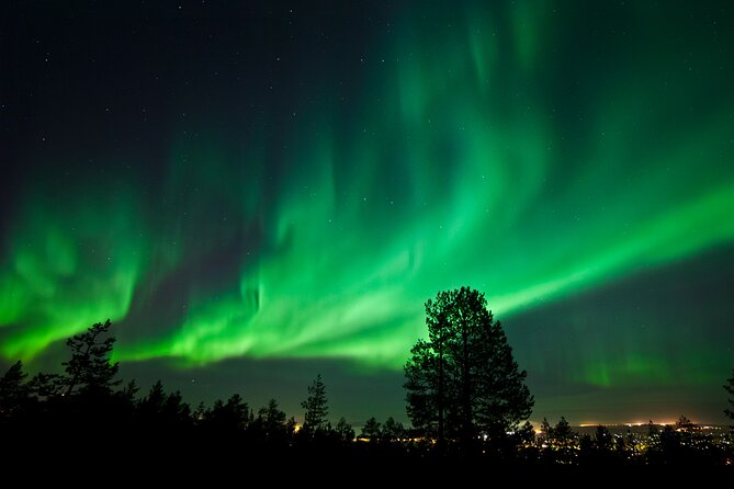 Rovaniemi: Northern Lights Group Tour - Guaranteed View - What happens at a viewing stop
