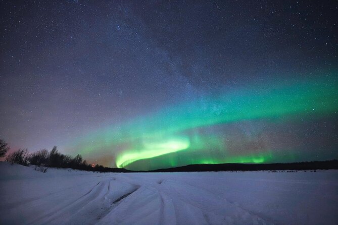 Rovaniemi: Northern Lights Group Tour - Guaranteed View - The photography service