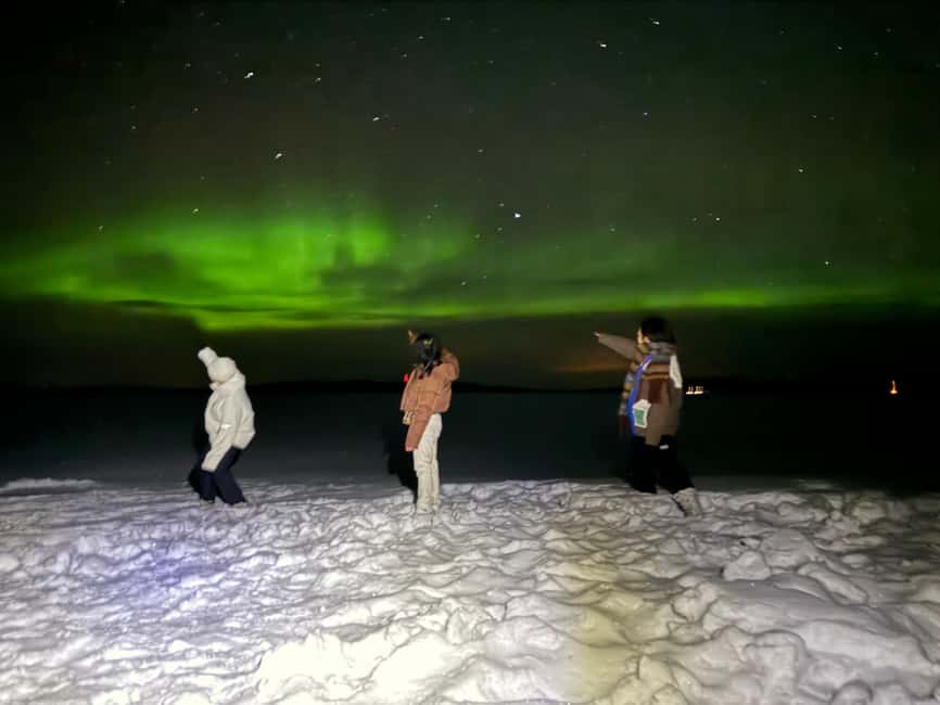 Rovaniemi:Northern Lights Hunt in Lapland Wilderness - Key points to know before you go