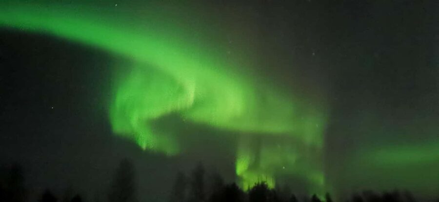 Rovaniemi:Northern Lights Hunt in Lapland Wilderness - Who should book this Rovaniemi night tour?