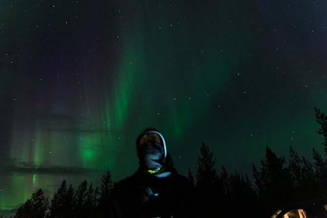 Rovaniemi: Northern lights money back tour - Is the tour good value?