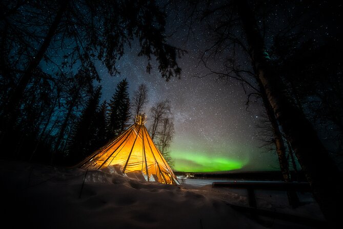 Rovaniemi Northern Lights Photography Small-Group Tour - Campfire food and warm drinks