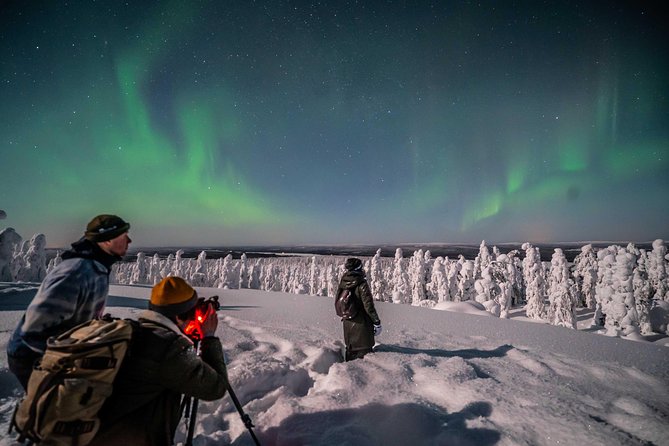 Rovaniemi Northern Lights Photography Small-Group Tour - The value of $175.43