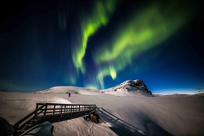 Rovaniemi Northern Lights Photography Small-Group Tour - Guides make or break the evening