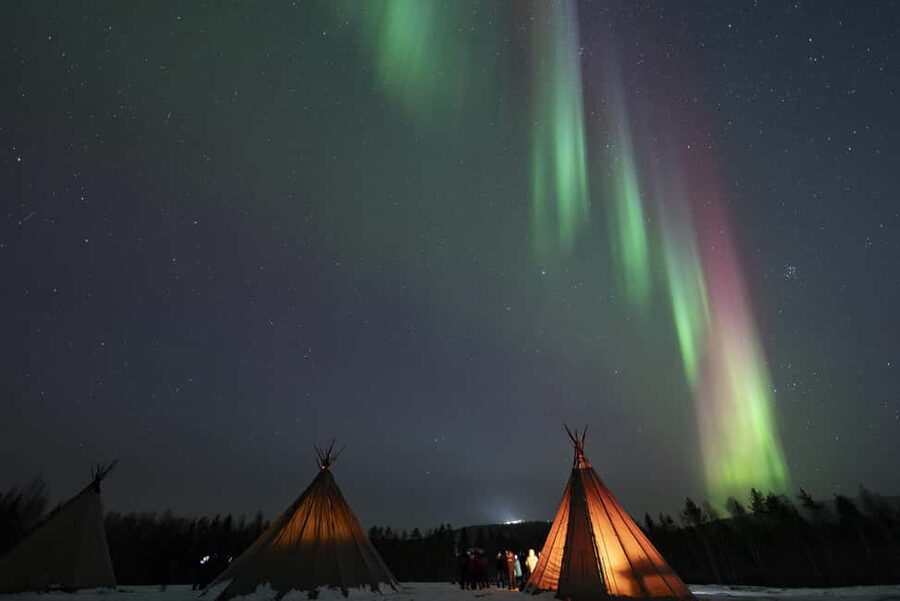 Rovaniemi: Northern Lights Photography Tour & BBQ - FAQ