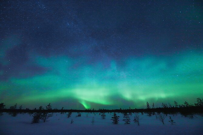 Rovaniemi: Northern Lights Pro Guaranteed - Unlimited Distance - The 100% guarantee, and what it really means