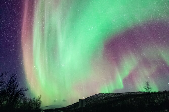 Rovaniemi: Northern Lights Pro Guaranteed - Unlimited (PRIVATE) - Why the unlimited chase matters in Rovaniemi