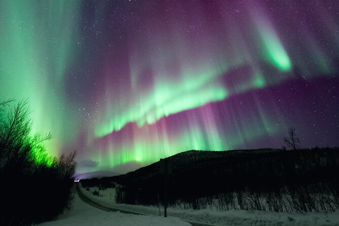 Rovaniemi: Northern Lights Pro Guaranteed - Unlimited (PRIVATE) - A private night on the road, not a fixed sightseeing stop