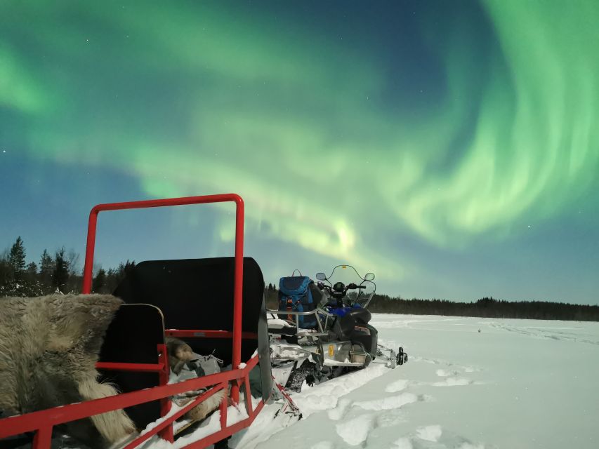 Rovaniemi: Northern Lights Sledge Ride - When the Aurora does show
