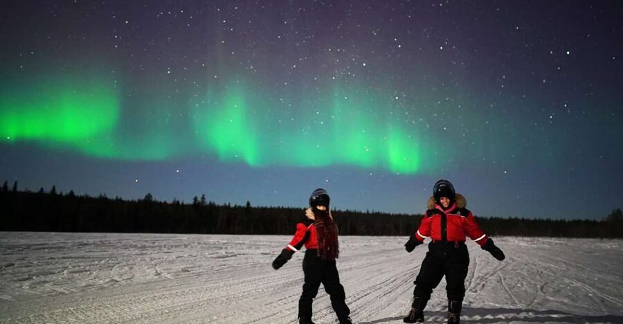 Rovaniemi: Northern Lights Sleigh Ride - Key points to know before booking