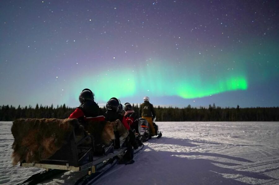 Rovaniemi: Northern Lights Sleigh Ride - Blueberry juice, gingerbread, and Arctic patience