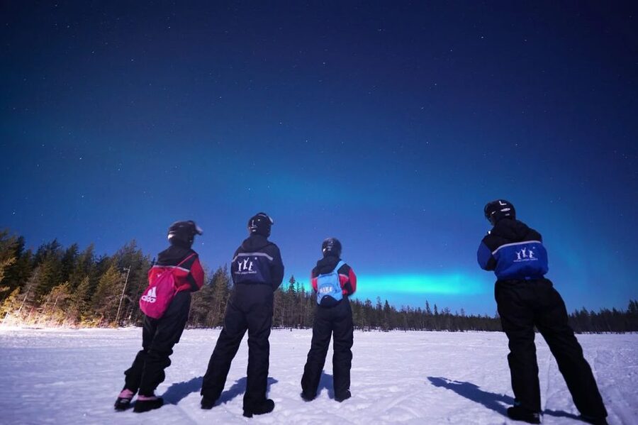 Rovaniemi: Northern Lights Sleigh Ride - What the guides add to the evening