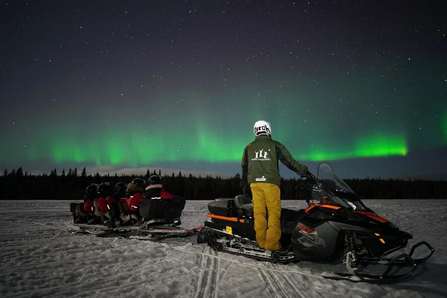 Rovaniemi: Northern Lights Sleigh Ride - Who should choose this sleigh ride?