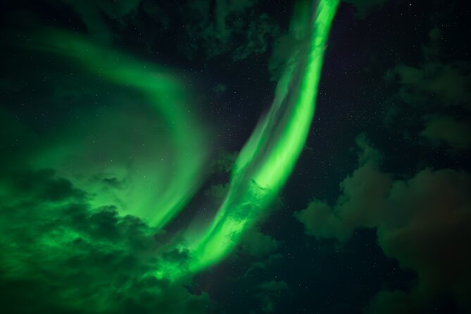 Rovaniemi: Northern Lights Small Group Money-Back Guarantee - Is $156.07 a fair price?
