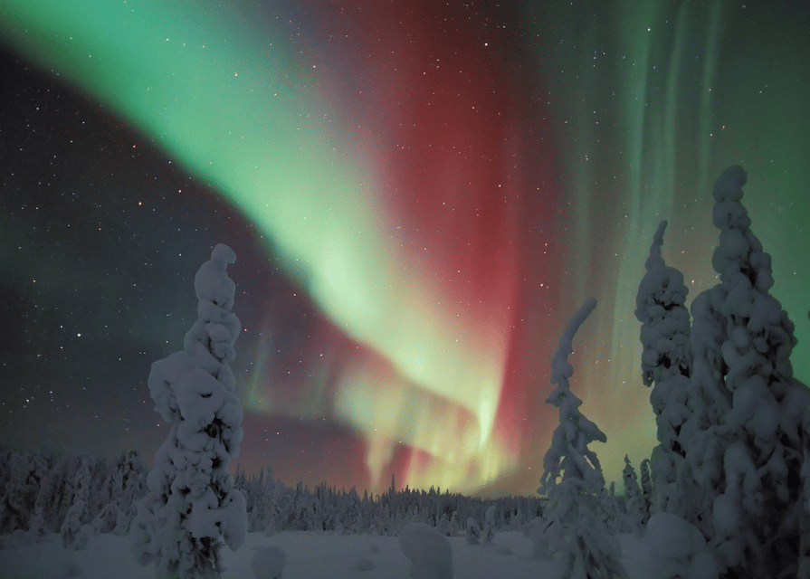 Rovaniemi: Northern Lights Snowmobile Safari with Campfire - What the Rovaniemi night feels like