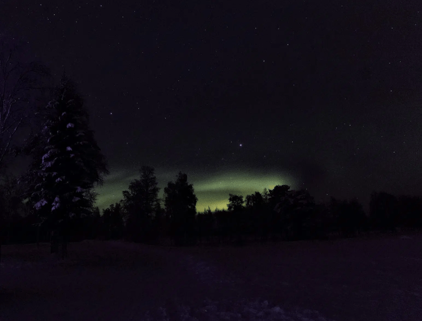 Rovaniemi: Northern Lights Snowmobile Safari with Campfire - Following the guide through forest and river country