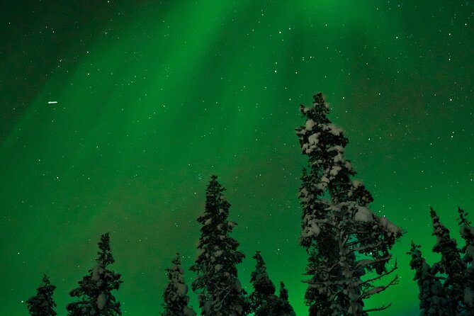 Rovaniemi: Northern Lights Tour - Chasing the aurora beyond Rovaniemi