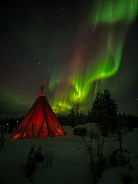Rovaniemi: Northern Lights Tour at the Campfire - Booking details that matter