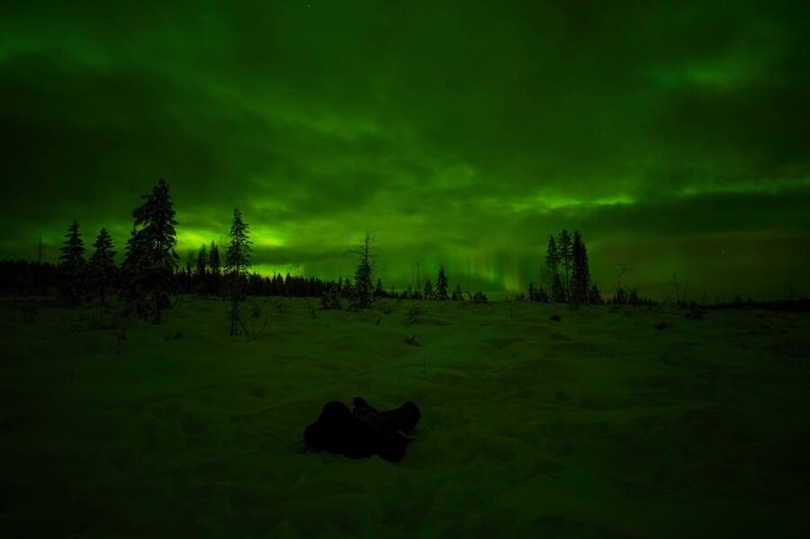Rovaniemi: Northern Lights Tour at the Campfire - What the Aurora part can and cannot promise
