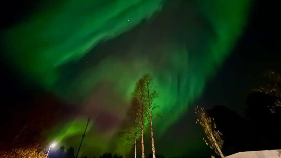 Rovaniemi: Northern Lights Tour with BBQ - Practical details that make a difference