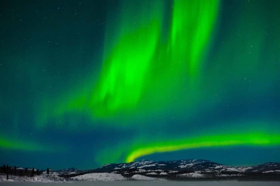 Rovaniemi: Northern Lights Tour with BBQ - Should you book the SV Travel Rovaniemi tour?