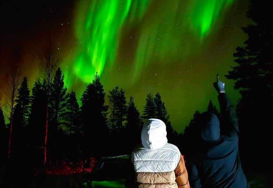 Rovaniemi: Northern Lights Tour with BBQ - Three stops in the frozen forest