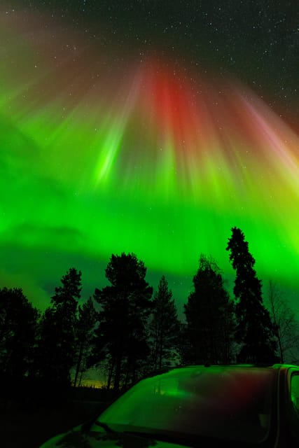 Rovaniemi: Northern Lights Tour with Guarantee - Why this is a true Rovaniemi aurora chase