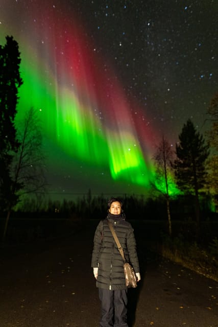 Rovaniemi: Northern Lights Tour with Guarantee - Who will get the most from this six-hour outing