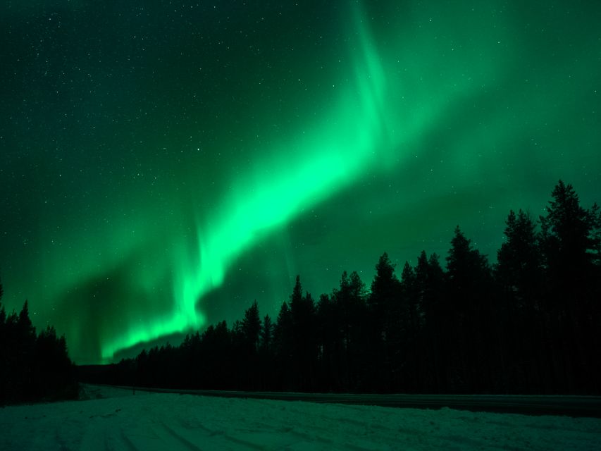 Rovaniemi: Northern Lights Tour with Guaranteed Sightings - Reading the sky with a certified guide