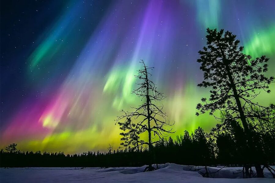 Rovaniemi: Northern Lights Trip with Arctic Sauna & Jacuzzi - Hot drinks, gingerbread, and the simple finish