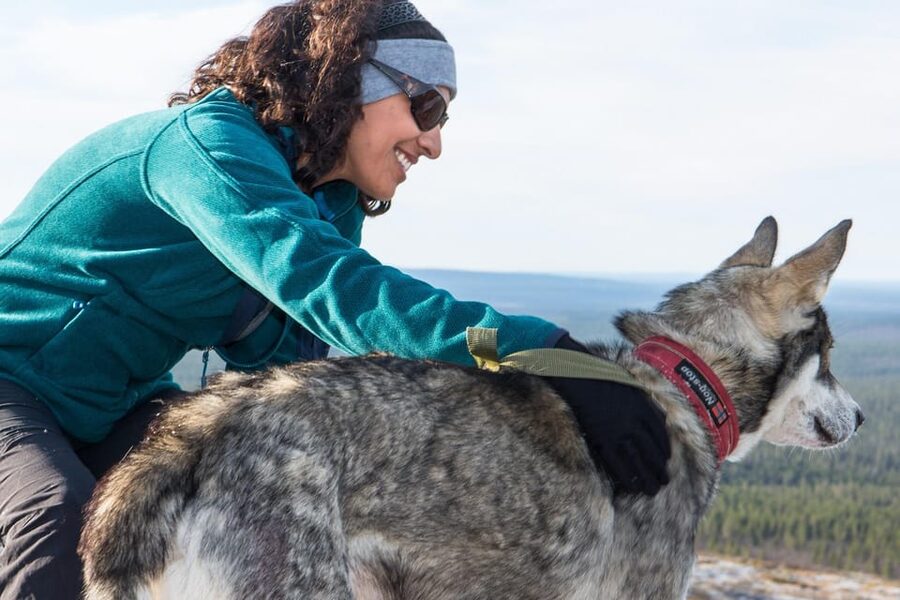 Rovaniemi: One Hour Husky Experience - What this Rovaniemi husky outing really offers