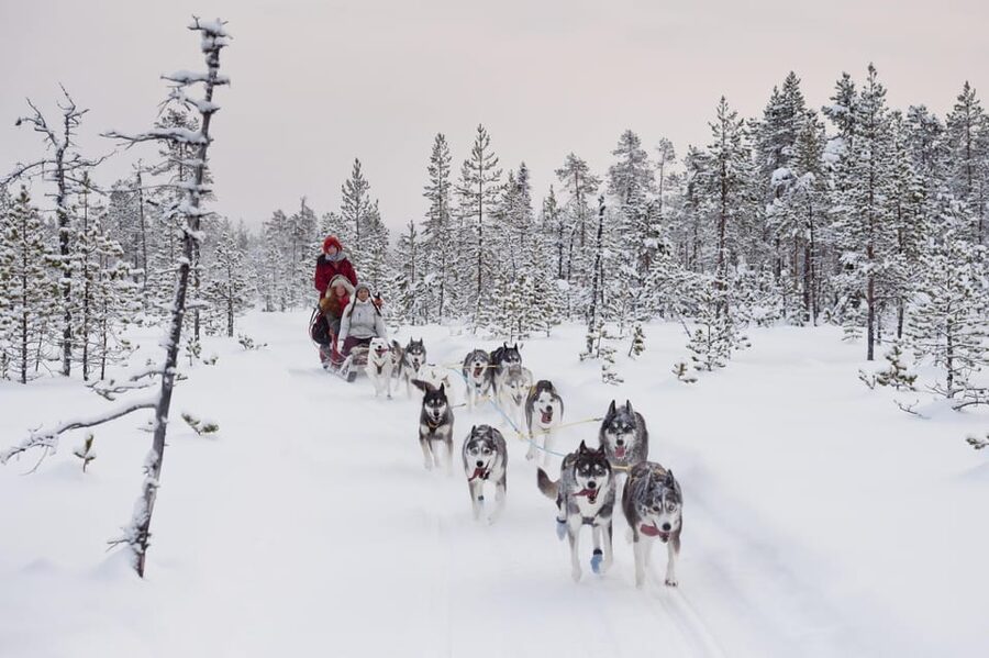 Rovaniemi: One Hour Husky Experience - How much time you really spend at the farm