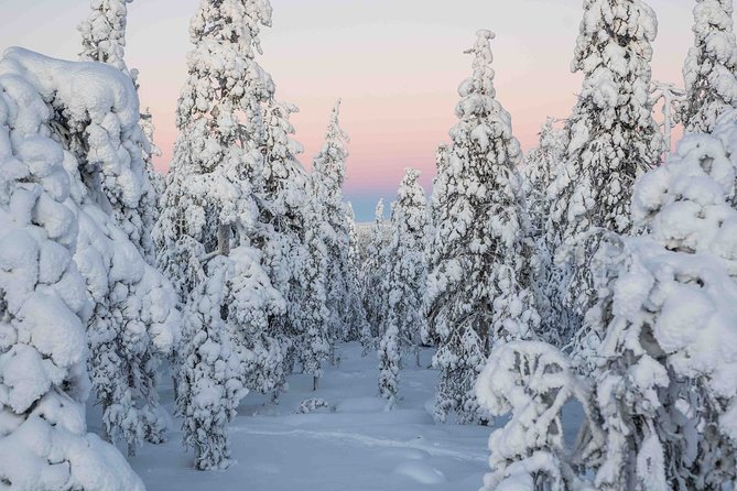 Rovaniemi photography tour - What you receive after the camera stops
