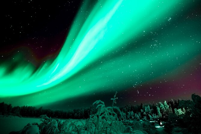 Rovaniemi: Private Aurora Tour with Guaranteed Sightings - Searching beyond the first viewing spot