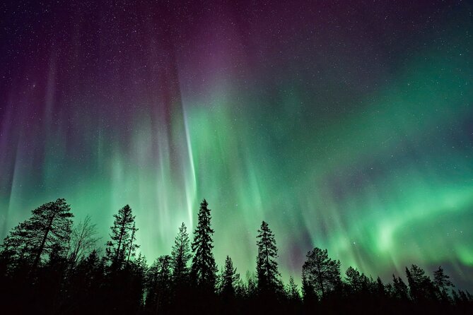 Rovaniemi: Private Aurora Tour with Guaranteed Sightings - The guide is the key part of the evening