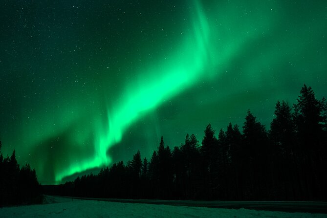 Rovaniemi: Private Aurora Tour with Guaranteed Sightings - Why a private van changes the evening