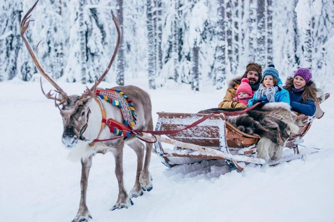 Rovaniemi Private Transfer from Rovaniemi city centre to Rovaniemi airport - Booking details that can prevent trouble