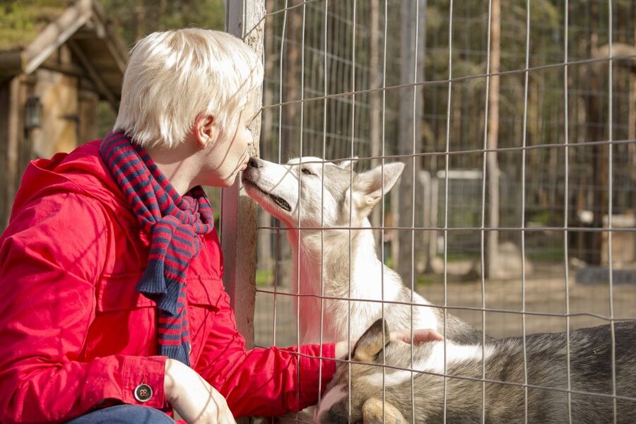 Rovaniemi: Quad Bike Safari, Reindeer & Husky Farm Visit - Sleigh rides depend on the snow